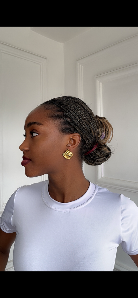 Earrings (Rbs301)