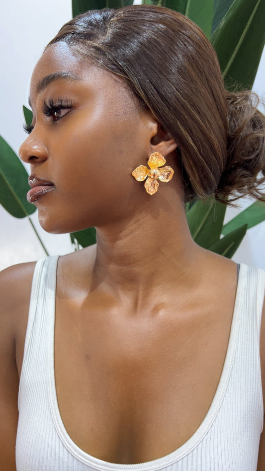 Ginny Statement earrings(Rbs586)