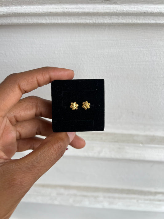 Stud earrings (Rbs879)