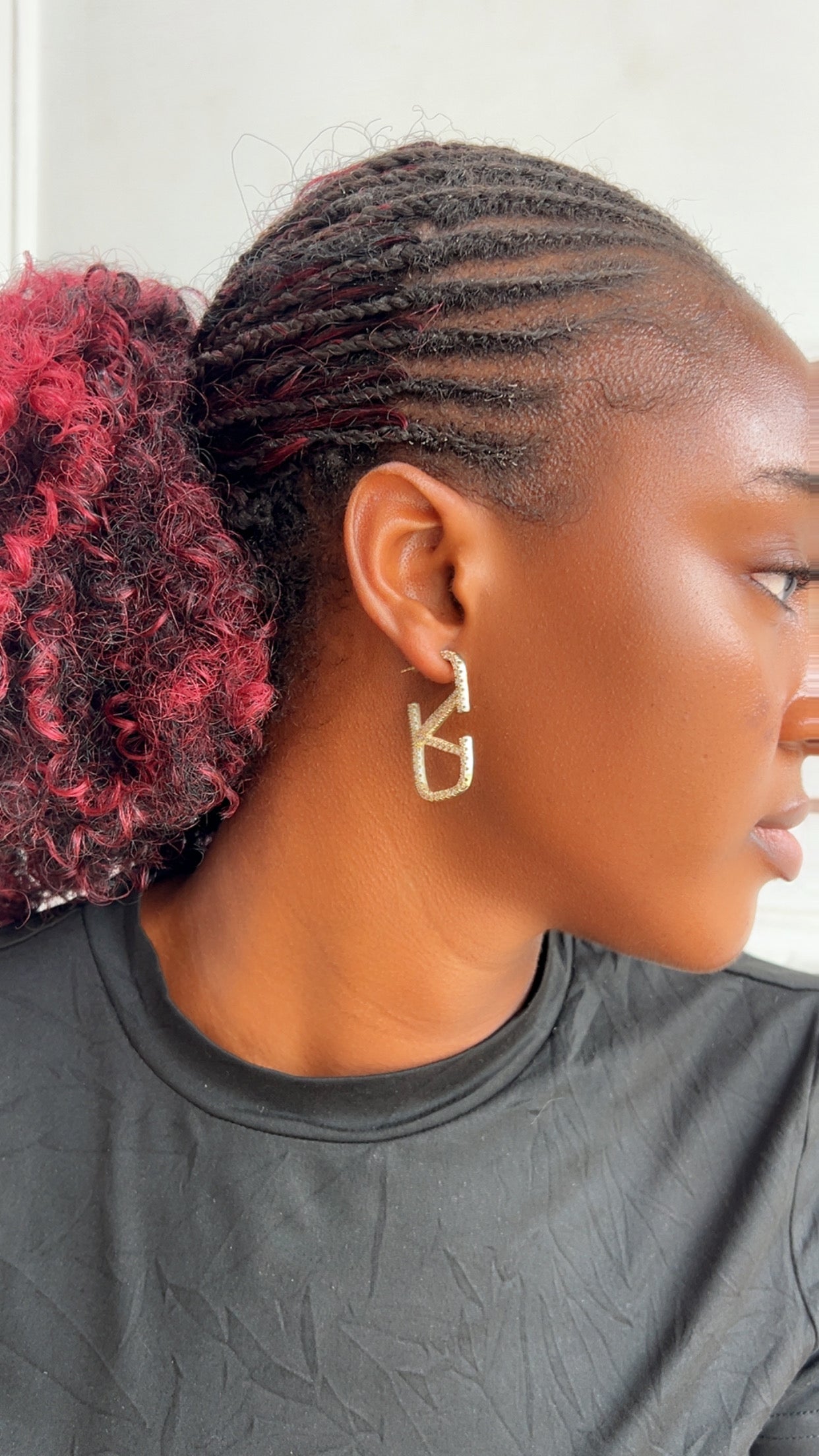 Earrings (Rbs824)