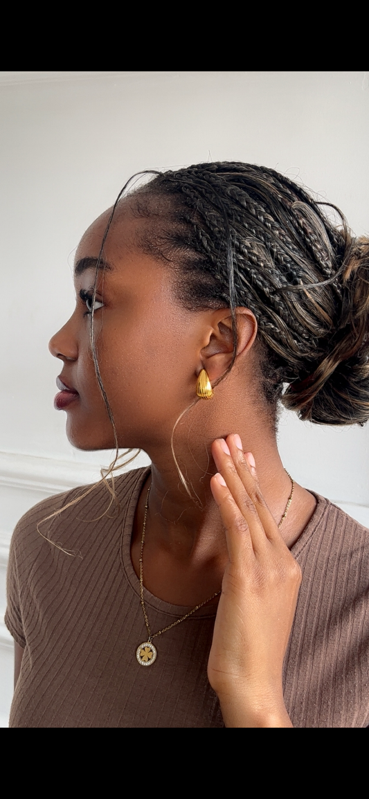 Earrings (Rbs272)