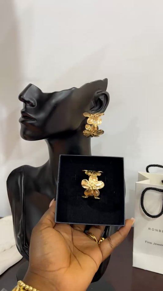 Earrings (Rbs281)