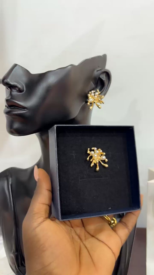Earrings (RBS080)