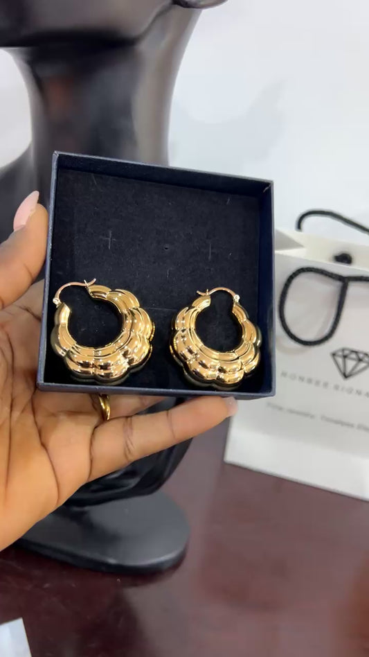 Earrings (Rbg013)
