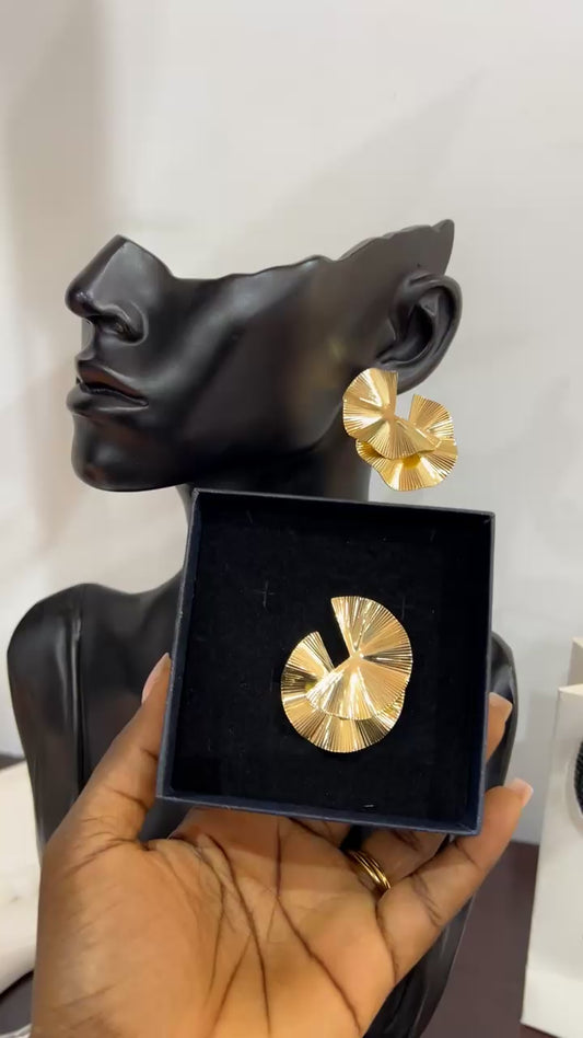 Earrings (RBE099)
