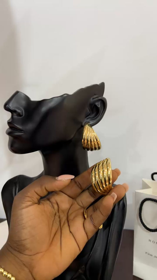 Earrings (Rbs431)