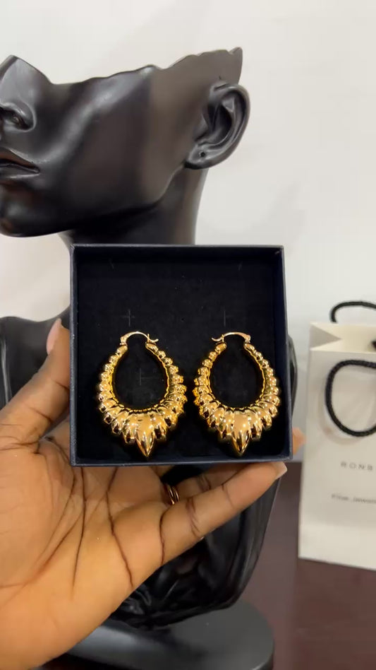 Earrings (RBs622)