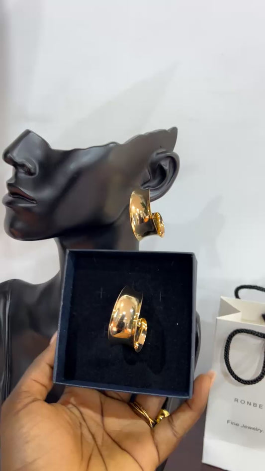 Earrings (Rbs100)