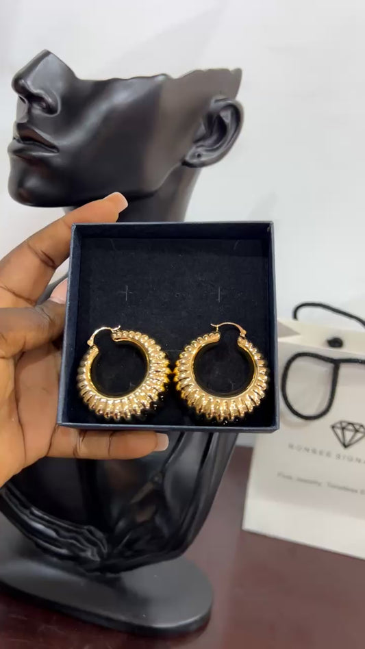 Earrings (Rbg008)